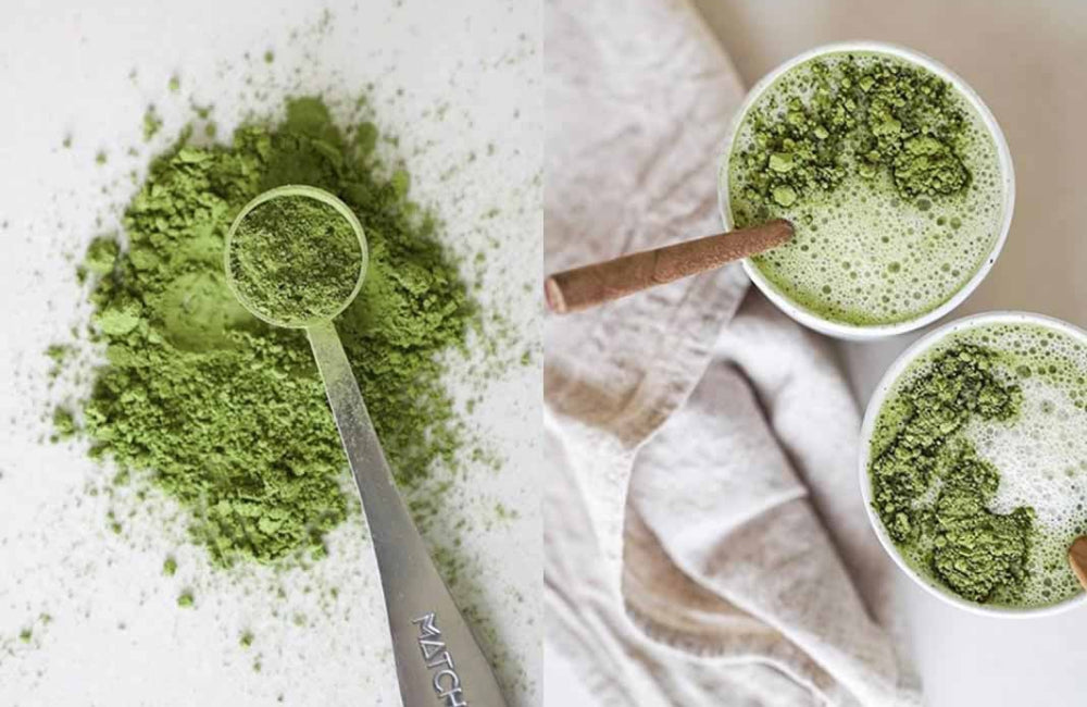 Matcha Tozu Nedir Nasıl Kullanılır?